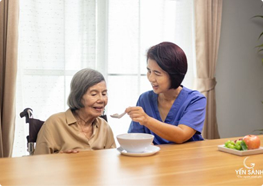 Yến sào cho người già