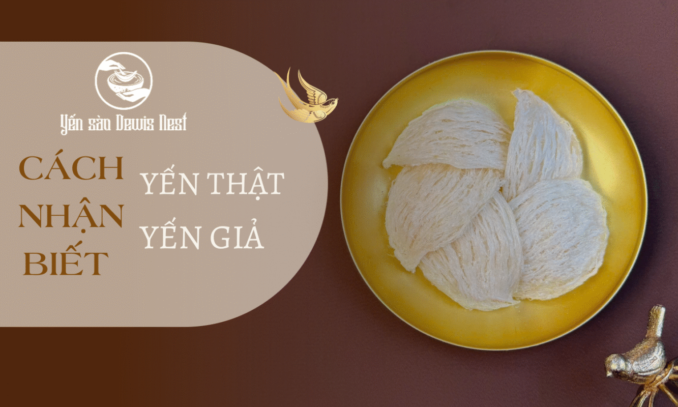 Hướng dẫn cách Nhận Biết Yến Giả: “Lá Chắn Thép” Bảo Vệ Sức Khỏe Và Túi Tiền