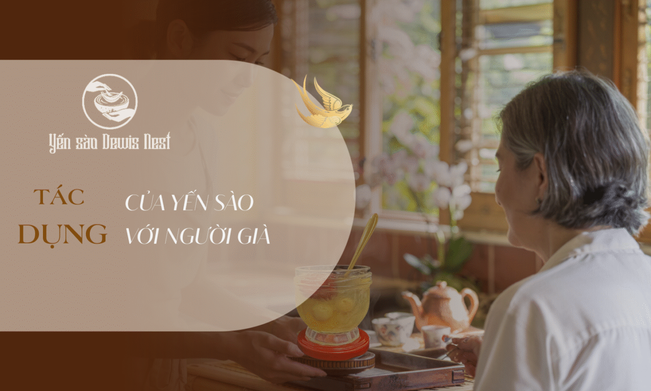 Tác Dụng Của Yến Sào Với Người Già: “Thần Dược” Cho Sức Khỏe Vàng