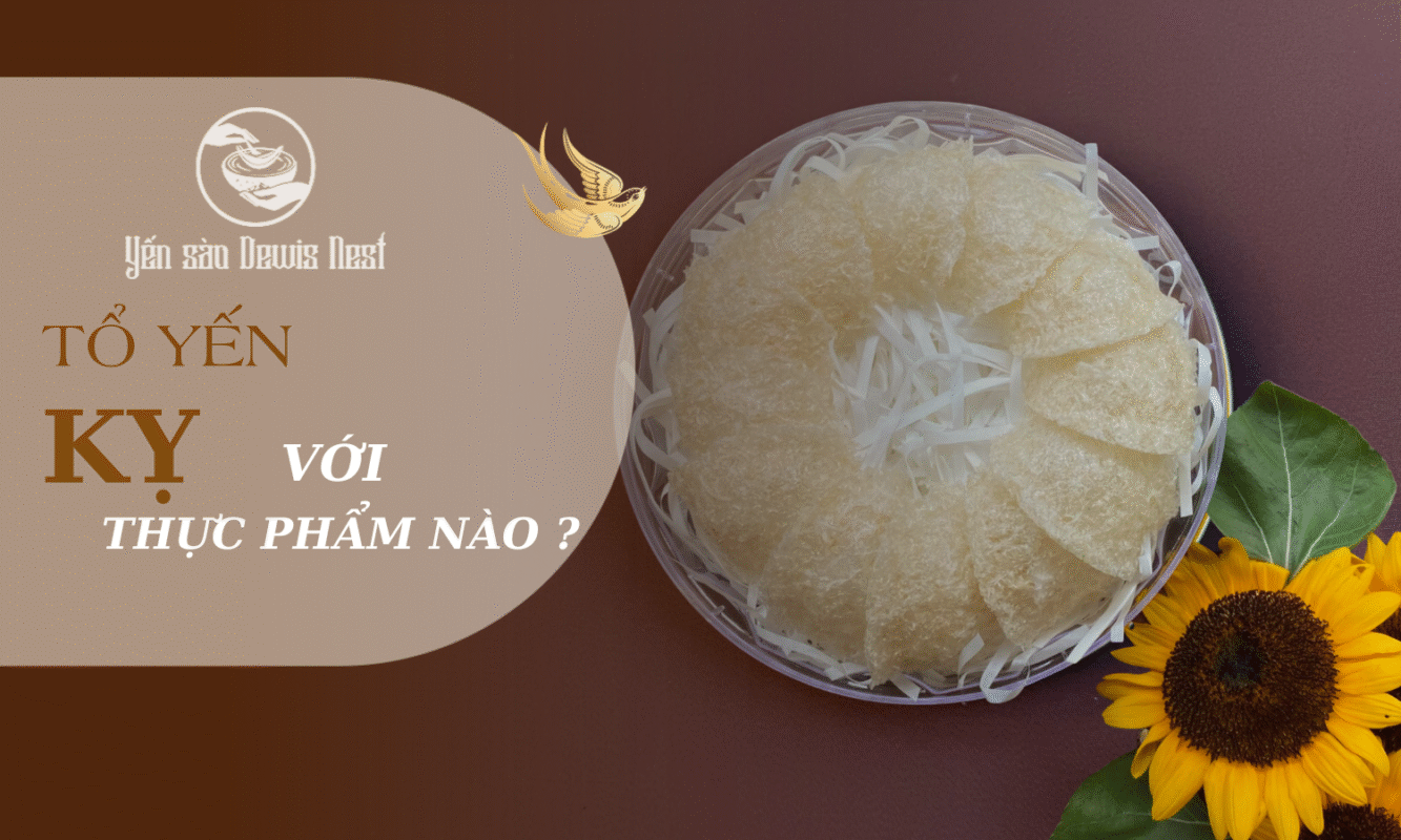 Tổ yến kỵ với thực phẩm nào? Hướng dẫn Toàn diện để sử dụng Tổ Yến hiệu quả nhất