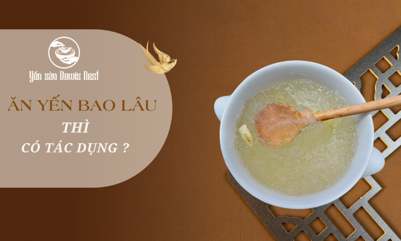 Ăn yến sào bao lâu thì có tác dụng? “Giải mã” thời gian vàng cho sức khỏe và sắc đẹp rạng ngời
