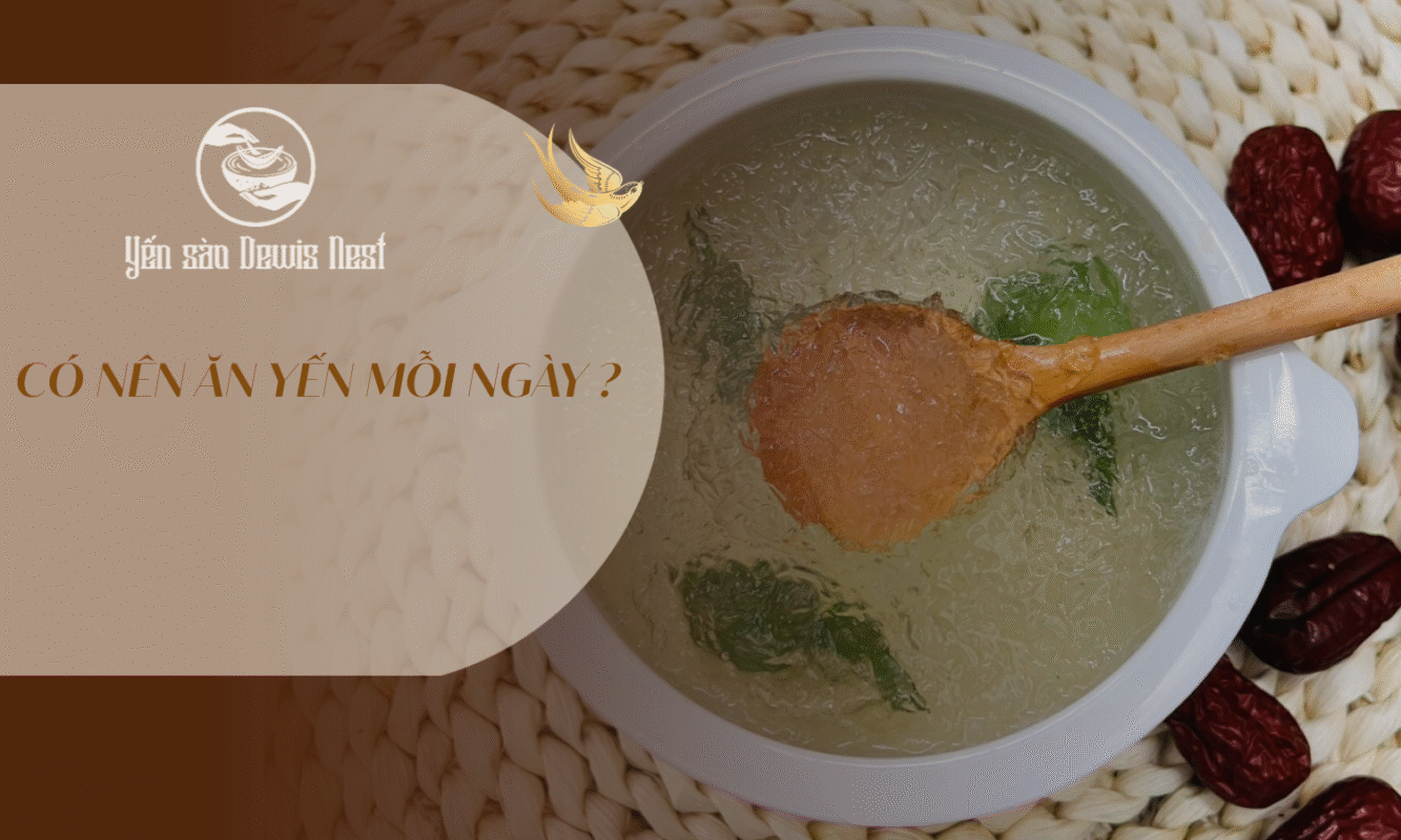 Có nên ăn yến mỗi ngày? Chuyên gia Dewis Nest giải đáp và hướng dẫn liều lượng “vàng”